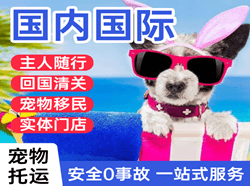 大庆航空快递国际宠物托运 【国